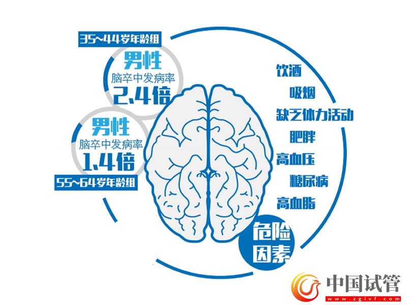 我國學者為腦卒中治療提供最高級別的循證醫學證據(圖1)