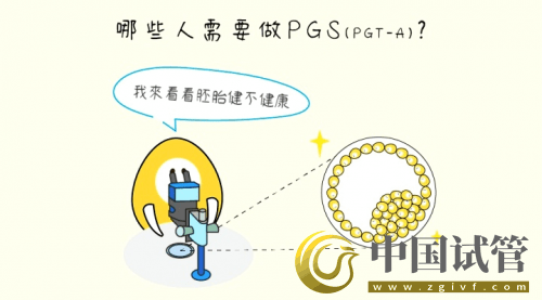 什么是PGT、PGS和PGD？(圖5)