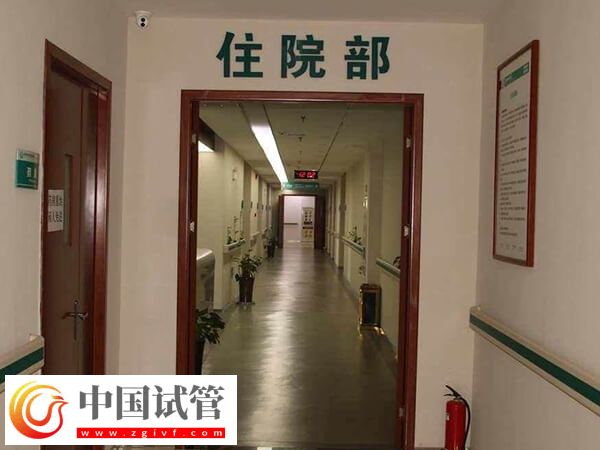 鎮江四院試管嬰兒介紹，內含各代成功率及醫生推薦(圖1)