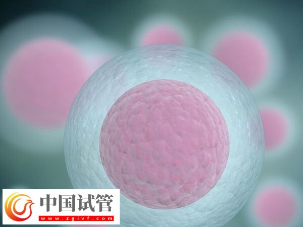 女性卵子質(zhì)量差易不孕，日常補鐵好處多多！(圖1)