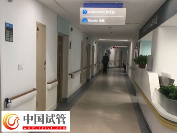 蘭州試管嬰兒排行榜出爐，前三名技術不分伯仲(圖2)