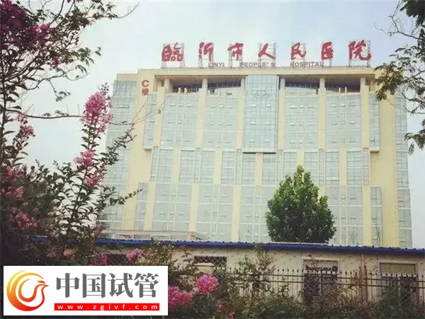 臨沂市人民醫院試管嬰兒費用多少(圖1)