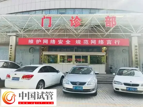 聊城市人民醫院試管嬰兒成功率多少(圖1)