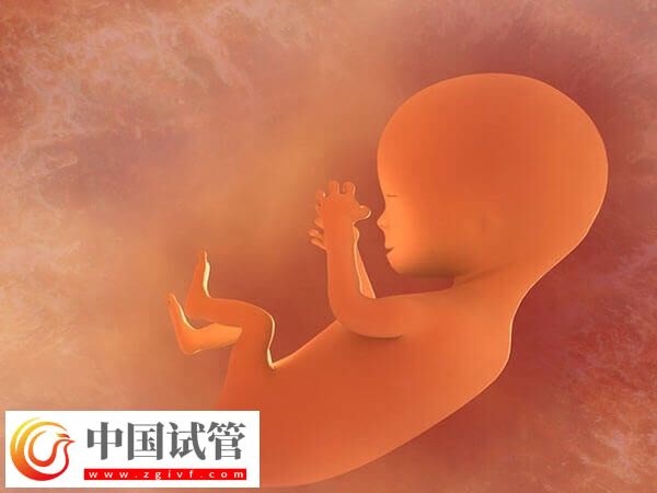 烏海婦幼保健院做試管嬰兒哪個醫(yī)生好？附三大專家簡介(圖1)