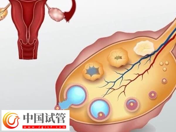 鞏義人工助孕機構排行榜揭曉，市婦幼保健院口碑第一(圖2)