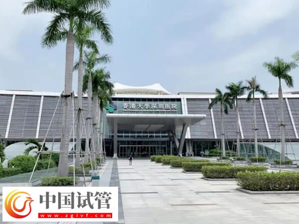 香港大學(xué)深圳醫(yī)院試管嬰兒怎么樣(圖1)