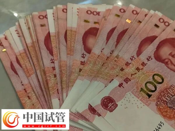 美國試管嬰兒最新花銷速覽，共計預算多少一目了然(圖1)