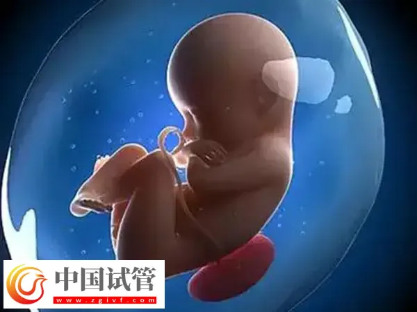 hpv陽性能否做試管嬰兒(圖1)