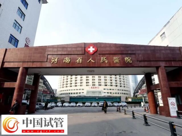 信陽能不能做試管嬰兒(圖2)