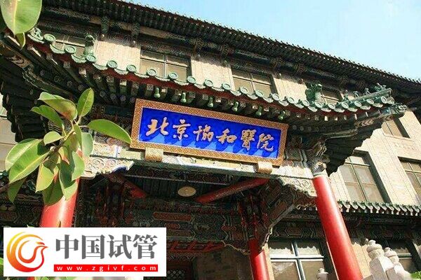 北京哪家試管嬰兒機構可靠？本地人：西城區這5家閉眼選(圖1)