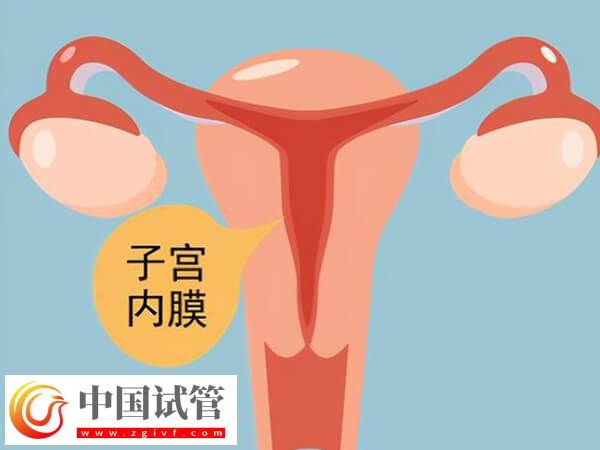 子宮內(nèi)膜厚度多少做試管嬰兒才能成功著床？(圖2)